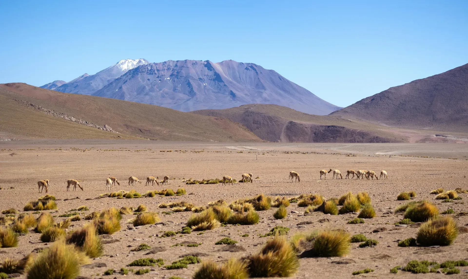 Desierto de Atacama