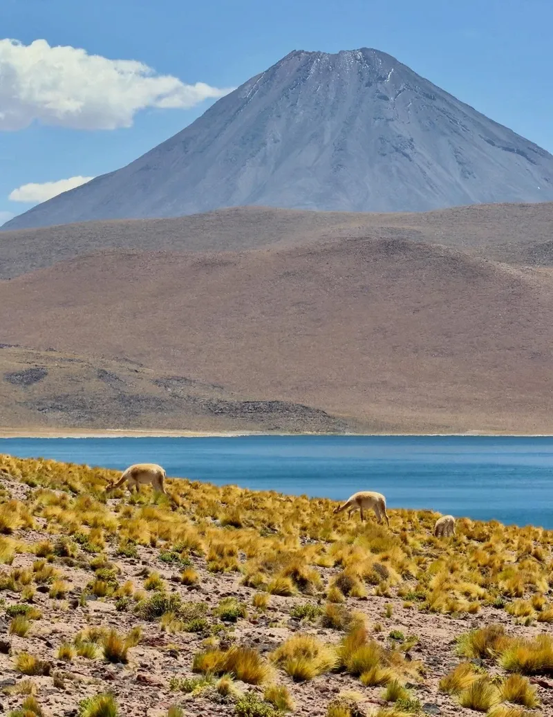 Atacama Desert view 2